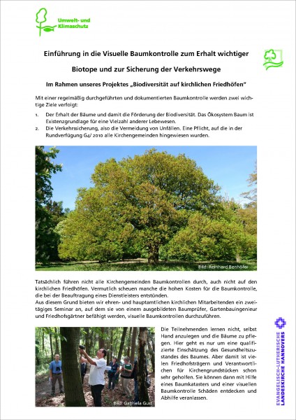 Informationsblatt Visuelle Baumkontrolle